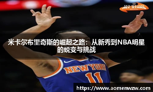 王中王资料大全