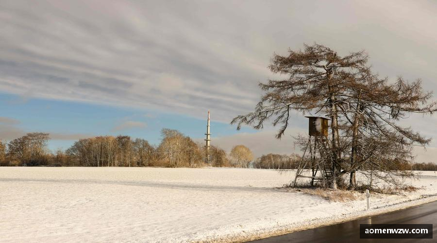 澳门王中王100%期期准